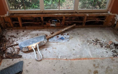 Termite Damage vs. Normal Wood Damage: What Homeowners Should Know