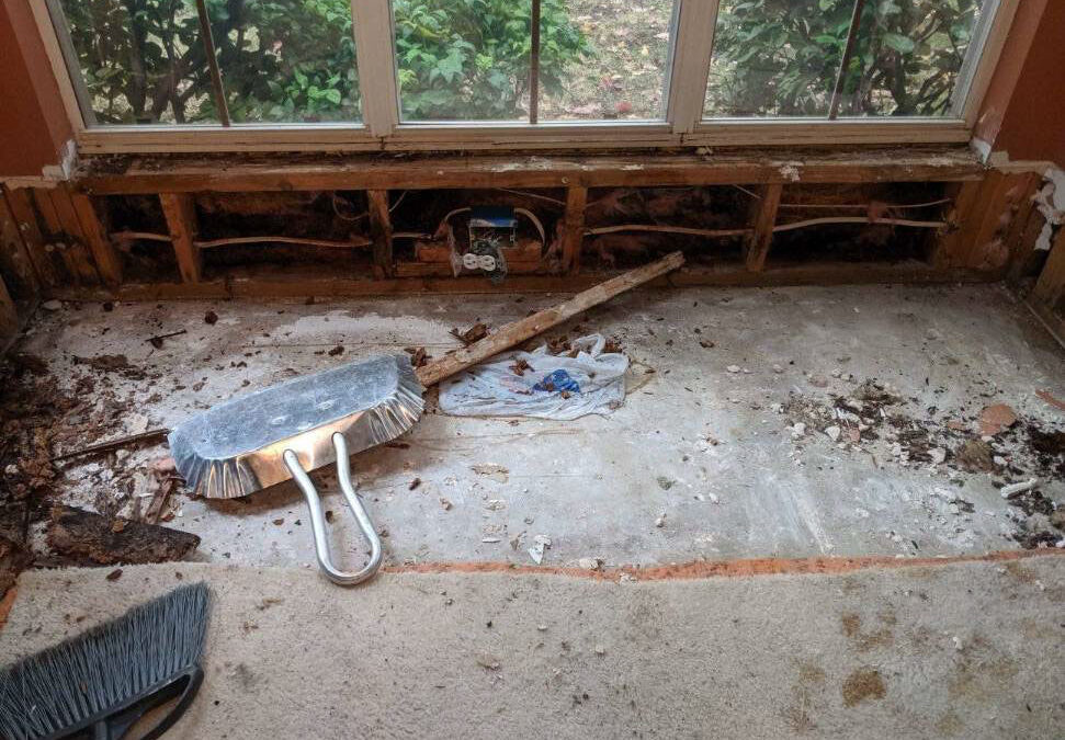 termite damage repair
